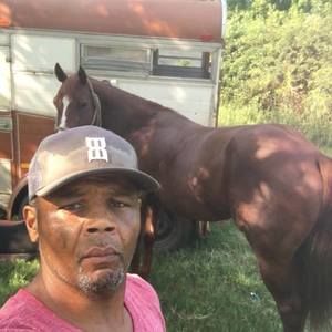 Meet your Posher, Darvell